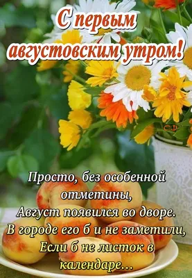 Привет август🤗🌺🌸🌷🪻🌻🌹 #август2023 #летолюбовь #красотаприроды #н... |  TikTok