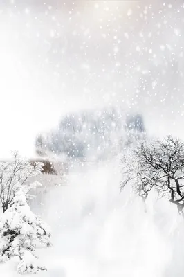Декабрь привет зима снег стратифицированный баннер Привет декабрь пресная  зима зима Снежная сцена простой атмосфера дерево Творческий Фон Обои  Изображение для бесплатной загрузки - Pngtree