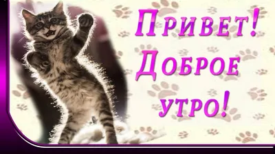 Доброе утро, отличного дня, привет от меня! ~ Открытка (плейкаст)