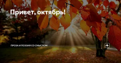 🍂Привет, октябрь!🍂 🍁Вот и настал самый красочный период осени! Самое  время выезжать за город со своим питомцем и создавать яркие осенние… |  Instagram