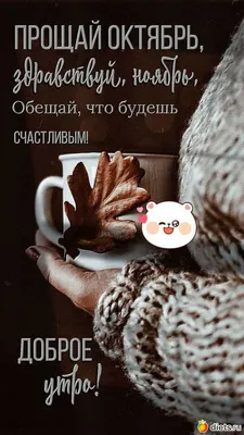 Привет, ОКТЯБРЬ🍂 Сегодня 5 октября и вся страна поздравляет УЧИТЕЛЕЙ с  праздником! Традиционно.. | ВКонтакте