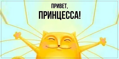Открытка для любимых и родных Принцесса Привет. Открытки на каждый день с  пожеланиями для родственников.