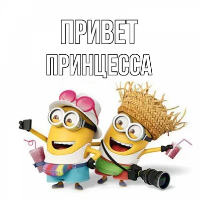 Привет Принцесса Надписи Для Принта Дизайна Футболки И Одежды Для Девочек  Принт Одежды Принцессы Логотип Принцессы Бирка Этикетка Над — стоковая  векторная графика и другие изображения на тему Выражения - iStock