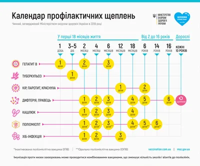 Эксперт рассказала, заразен ли человек после прививки от коронавируса -  Российская газета