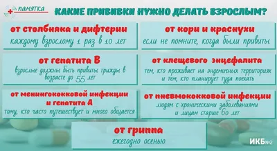 Вакцинация (прививки) животным на дому, ветеринарная служба Энимал-Доктор,  г.Ростов-на-Дону