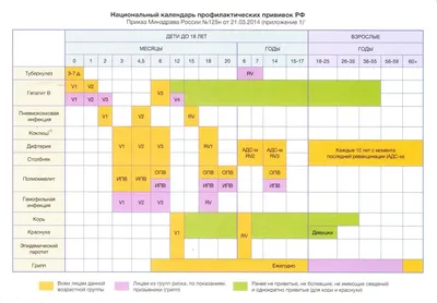 Какие прививки нужно делать взрослым, когда припиваться и как пройти  вакцинацию бесплатно | Банки.ру