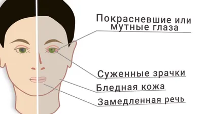 Признаки наркомании: как распознать наркотическую зависимость у человека |  АНО ЦСА Атмосфера | Дзен