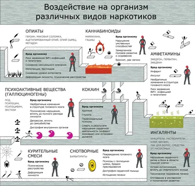 Внешние признаки употребления наркотиков | ГУО \"Будаговская средняя школа\"