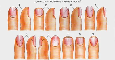 Лак для ногтей Relouis / Релуи Железный укрепитель - «Нюдовый маникюр в  королевском стиле) Как декоративный лак - хорош, но заявленного укрепления  я не заметила» | отзывы