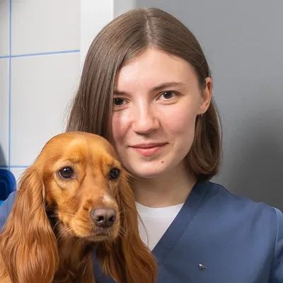 ветеринар #минск #рекомендации #рек #fyp #ортопед #спасликота | TikTok