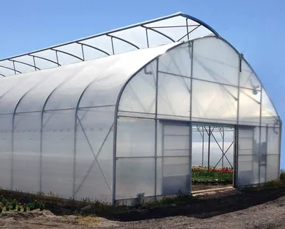 Готическая промышленная теплица BHK Greenhouse