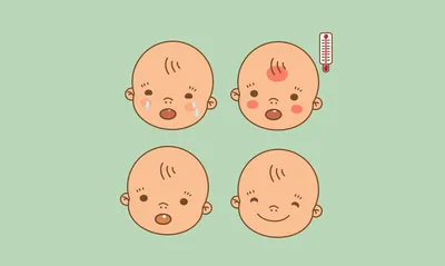 Прорезывание молочных зубов у ребенка: что нужно знать родителям?