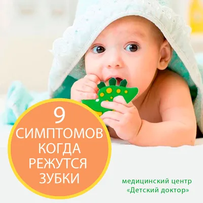Прорезывание молочных и постоянных зубов – Dentistree