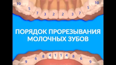 Прорезывание зубов у детей: симптомы, помощь ребёнку | Клиника Эксперт