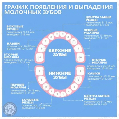Удаление зуба мудрости сверху, снизу: показания, трудности, особенности  удаления воьмерки