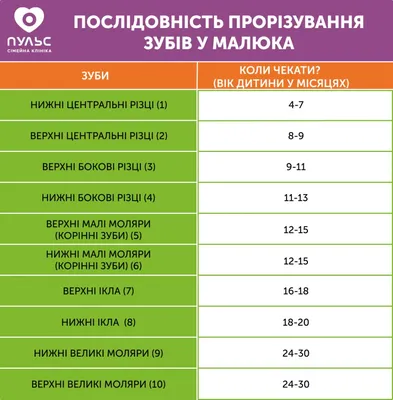 Дистопированный зуб: лечение дистопии зуба, причины, симптомы, диагностика