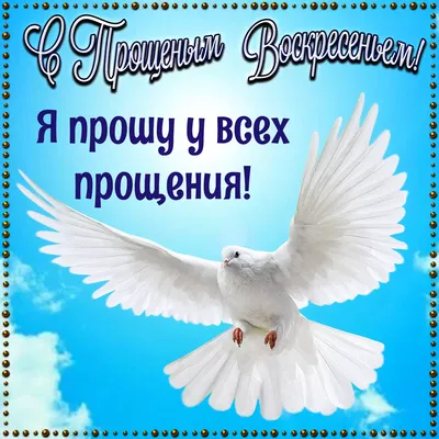 Как правильно просить прощение: молитва за недругов и приметы в Прощенное  воскресенье • ИА «ВК Пресс» Краснодар