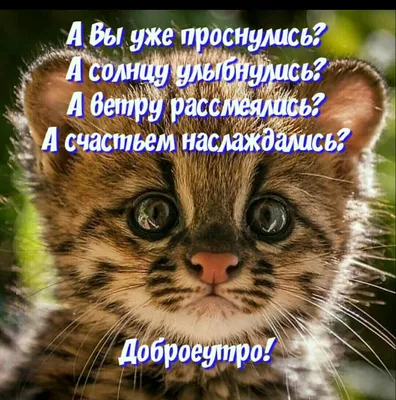 Доброе утро друзья! 🤗С новым днем!👌Проснулись? Улыбнулись? Тогда  отличного вторника всем🤗 и чтоб не было сегодня никаких проблем 😉 Удачи…  | Instagram