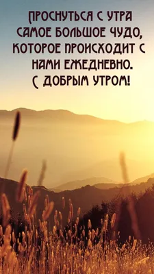 Корнилова Наталия Николаевна on X: \"Доброе утро, прекрасного настроения,  дорогие друзья! https://t.co/peqQfkYNSb\" / X