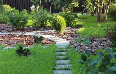 Ландшафтный дизайн дачного участка: основные моменты планирования |  Aesthetic landscape