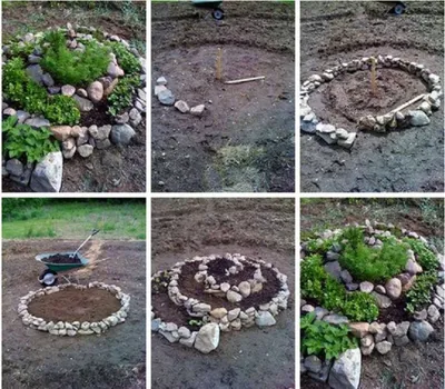 Цветы для клумбы - 66 фото оптимального подбора и сочетаний