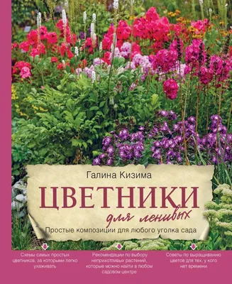 Парадная клумба в моём саду - весь сезон её украшают простые цветы |  Капелька на даче | Дзен