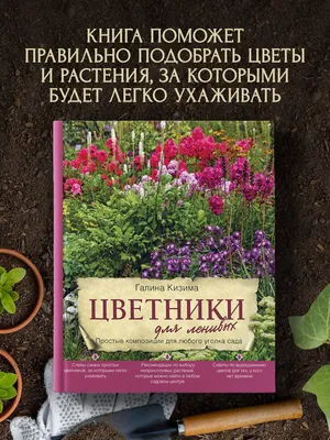 Простые клумбы на даче - фото и картинки abrakadabra.fun