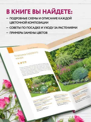 Простые клумбы на даче - фото и картинки abrakadabra.fun