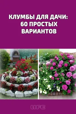 Сад-огород | Клумбы, Идеи посадки растений, Композиции цветников