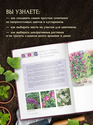 Простые клумбы на даче - фото и картинки abrakadabra.fun