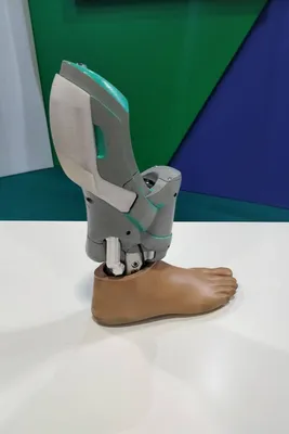 Новый протез для ноги с коленом умеет обходить препятствия : Технологии :  Live24.ru