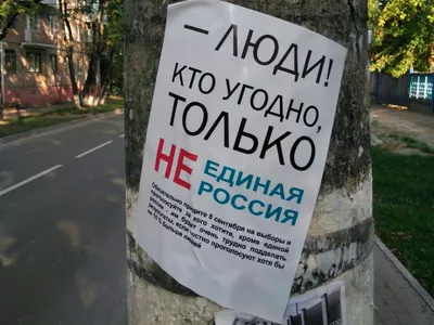 Почему так важно, кто будет кандидатом в президенты от «Единой России»? Как  будет Москва строить отношения с губернатором Хакасии… | Instagram