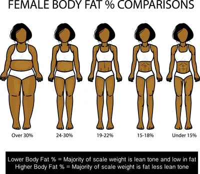 Яна тренер - О норме % жира в организме 👇🏼 Здоровое, стройное и  подтянутое тело – это то, что будет в моде всегда. Масса людей пытаются  избавиться от лишних жировых отложений. Но