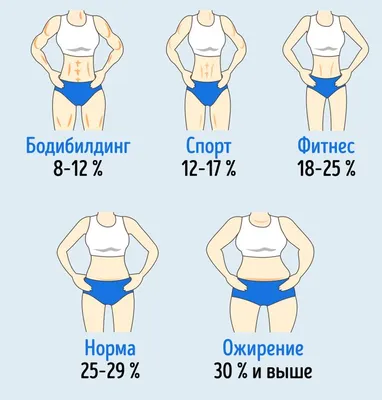 Процент жира в организме - онлайн калькулятор