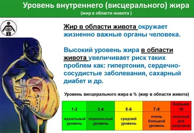 Методы измерения жира в теле