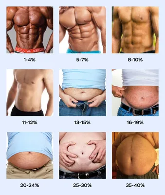 Как рассчитать процент жира в теле: 5 простых способов