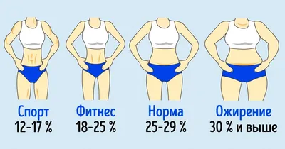 Сколько жира должно быть в здоровом организме — как посчитать процент жира  в организме онлайн - Чемпионат