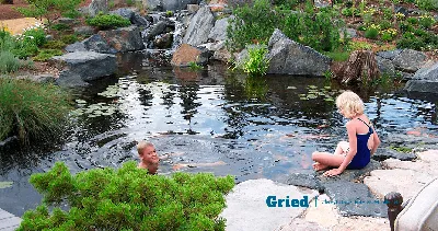 25 фото красивых водоемов – несложные идеи, которые можно повторить |  Вдохновение (Огород.ru)