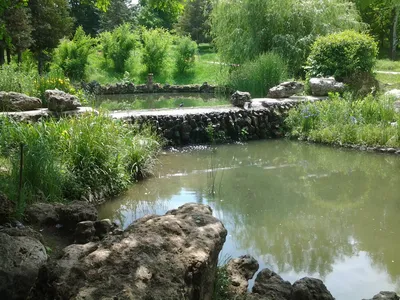 Искусственный пруд – пленка для устройства водоема своими руками