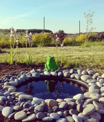 Épinglé par Tanya sur Садовые пруды | Jardin aquatique, Bassin de jardin,  Plantes étang