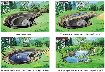 ⠀ Как красиво оформить пруд на даче своими руками 🌱 ⠀ Фото @la.risa734 и  других участников | Instagram