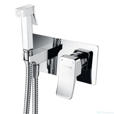 Набор для псевдобиде Hansgrohe Logis 71666000 SetLogisG - Santeh24.by