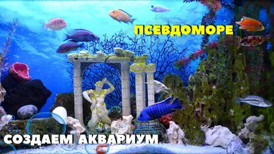 Аквариум в стиле Псевдоморе, объёмом 400 литров - Посейдон