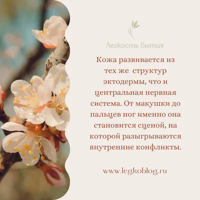 Это все психосоматика! Что делать, чтобы вылечиться. Эксмо 67793782 купить  за 129 200 сум в интернет-магазине Wildberries