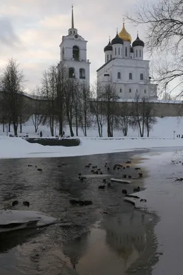 Актриса Юлия Пересильд посетила Псков на новогодних каникулах : Псковская  Лента Новостей / ПЛН