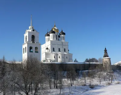 Новый год в Пскове 2024 — фото, отзывы и рассказ о событии Новый год в  Пскове