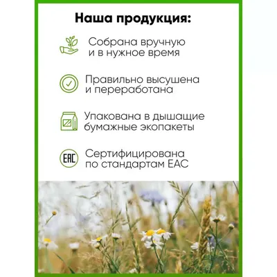 Травы Мещеры on Instagram: \"⠀Спорыш или Горец птичий. ⠀Русское название  «спорыш» дали растению из-за его способности «споро», т.е. быстро,  восстанавливать поврежденные побеги. А ещё за то, что на плодородной почве  оно разрастается,