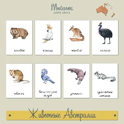 Птицы Австралии гульдова амадина …» — создано в Шедевруме