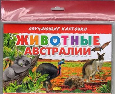 АВСТРАЛИЙСКАЯ ЗООГЕОГРАФИЧЕСКАЯ ОБЛАСТЬ • Большая российская энциклопедия -  электронная версия
