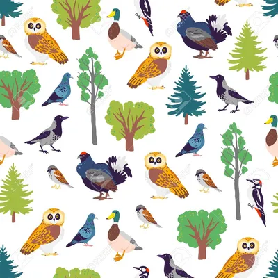 Дикие птицы леса Животное дикой природы, кардинал робин Chickadee птиц  Изолированные птенец диких или сад плоский природы Иллюстрация вектора -  иллюстрации насчитывающей цвет, немного: 196867104